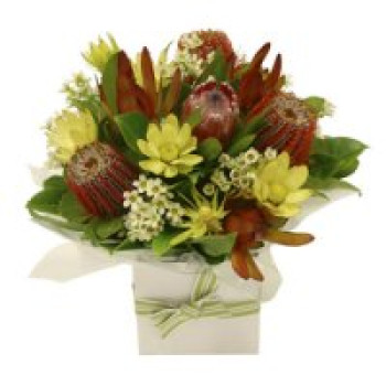 Protea & Natives in a Box